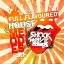 Full Flavoured House Melodies Vol 1