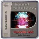 Analog Age