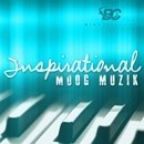 Inspirational Moog Muzik