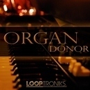 Organ Donor