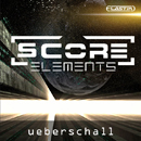 Score Elements