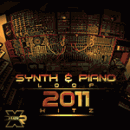 Synth & Piano Loop 2011 Hitz