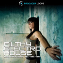 Filthy Electro House (Updated)