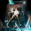 Abstract Electro House 2