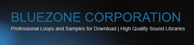 Bluezone Corporation