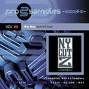ProSamples Vol 22: Hip Hop