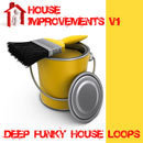 House Improvements Vol 1