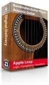 Guitar Player: Acoustic Guitar Loops