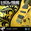 House Guitar Loops (Multi-Format)