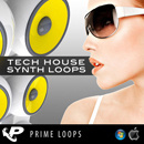 Tech House Synth Loops (Multi-Format)