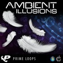 Ambient Illusions (Multi-Format)