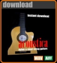 Acoustica: Nylon & Steel String Guitars