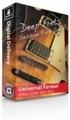 Deep Frets - Session Rock Guitar