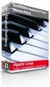 Keyboard Player: Electric Piano Loops