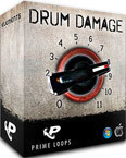 Drum Damage (Multi-Format)