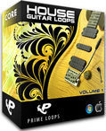 House Guitar Loops (Multi-Format)
