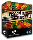 Reggaeton Movements (Multi-Format)