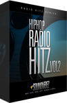 Hip Hop Radio Hitz Vol 2