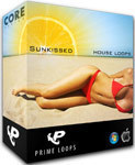 Sunkissed House Loops (Reason Refill)