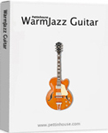 WarmJazz Guitar